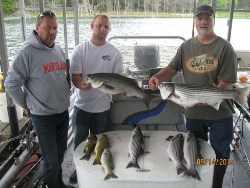 Nice Striped Bass